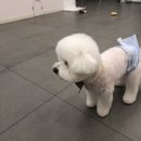 종가대박집(평리점) 이미지