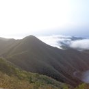 지재농장 이미지