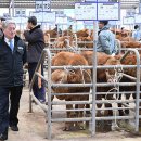 동해삼척태백축산농업협동조합 이미지