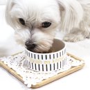 맛있개 건강하개 이미지