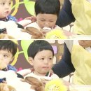 애니멀즈 이미지