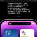 나는 아이폰14 프로 대신 플러스를 구매하였다