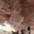 복덩이건강센터