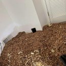 리치펫동물병원 이미지