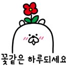 밤바스토어 이미지