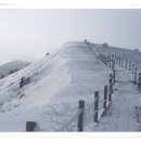 성문축산 이미지