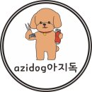 아지독 이미지