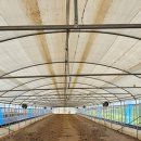 청춘농장 제2농장 이미지