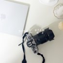 하나푸드1 | [공지] 거제도밥상! 네이버 푸드인플루언서 1년 후기