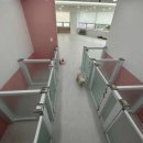 델리키아 이미지