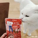 삼 인 보 검 | 고양이 습식 사료 웨루바 캣츠인더키친 파우치 내돈내산 후기!
