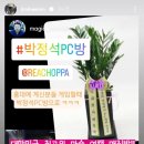 박정석 피시방 이미지