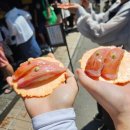 20.한내다리(행정) | 일본 나고야 다카야마&amp;시라카와고 일일 버스 투어 후기