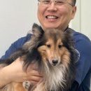 마음사랑 동물병원 이미지
