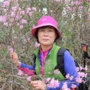 신지면-1 이미지