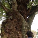 정해 마을회관 이미지