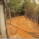 수원팔색길 매실길 이미지