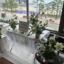 (주)에니타임 연산1호점 | 부산 광안리 파라스테이 1호 숙소에서 프로포즈 생화 장식 이벤트 후기