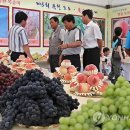 포도모바일 이미지