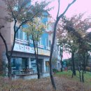 (주)즐거운여행사
