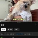 댕댕이 유치원 이미지