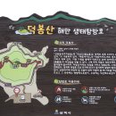 삼척 덕봉산 해양생태 산책로(맹방 덕산) 이미지