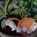 가람주간보호센터 이미지