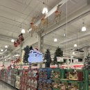 코스트코 홀세일 김해점 이미지