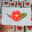 신대2구 이미지