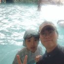 경희대 최강 태권도장 이미지