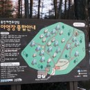 용인자연휴양림 야영장 이미지