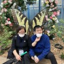 장애인산악회 이미지