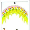 움직이는 타로카드, 초보자 타로의 핵심 키워드…마이너 아르카나 컵 10(Ten of Cups) 이미지