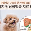 애니컴 메디컬센터 이미지