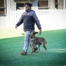 루카스독트레이닝 이미지