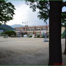 태화초교병설유치원 티스토리