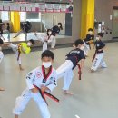 경희라온태권도 이미지