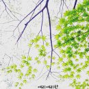 도서관 놀이산책 이미지