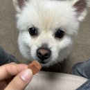 온동물병원 이미지