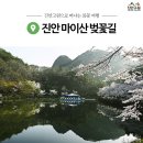 4월..산행공지( 4/9일 금), 진안 마이산 벚꽃~!! 이미지