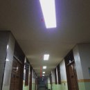 대전도솔초등학교 이미지