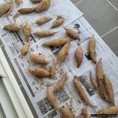 킹콩이농장 이미지