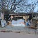 무섬마을 | [영월] 한적한 풍경의 무섬마을 방문후기