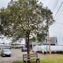 수산리당동경로당 이미지