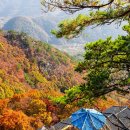 행정사법인청효 이미지