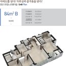 유림-38 이미지