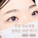 &#34;매력적인 속눈썹을 위한 최고의 선택, [뷰티팰리스]!&#34;