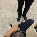 휠체어 타는 사람들 | 비즈니스클래스(로얄실크) 탑승후기: 라운지, 수완나품 샤워룸, 휠체어서비스 / 인천 ↔ 방콕 TG659, TG658