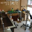 라파엘종합동물병원 | 서대문구 연희동 동물병원 라파엘동물병원 진료시간 접근성 이용후기