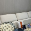 대 명 | 아프리콧스튜디오 4일간 대장치 후기 (타임특가도 놓치지 않아!)